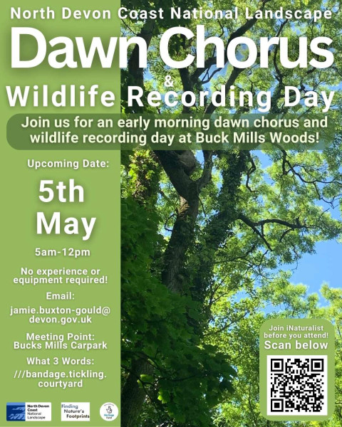 Dawn Chorus and Wildlife Recording Day