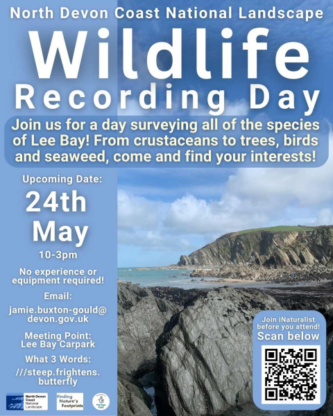 Wildlife Recording Day