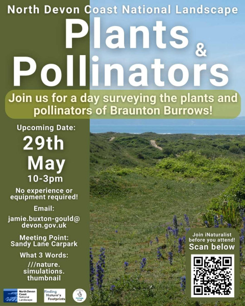 Plants & Pollinators