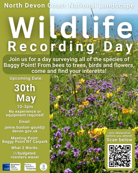 Wildlife Recording Day