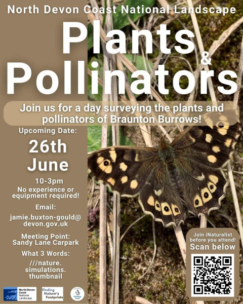 Plants & Pollinators